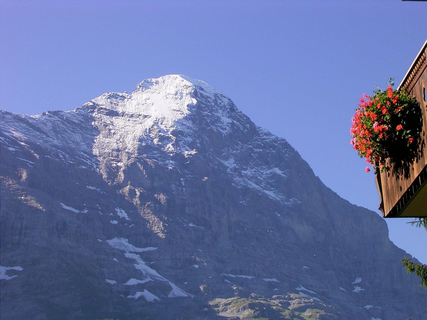Hotel Bellary Grindelwald Exteriör bild